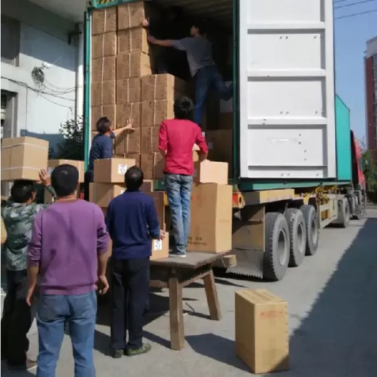 2. VS-600 Vacuum Packaging Machine