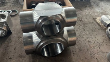 F91 Forging Valve Body