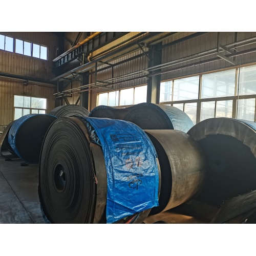 Innovative Self Cleaning Conveyor Belt Solution