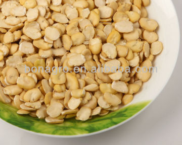 split faba bean