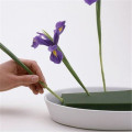 /msite/products/detail/productid/59253878/id/680815.html