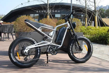 1000w lithium battery off road electric bicycle