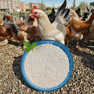 High-Efficiency DCP 18% for Poultry and Aquaculture