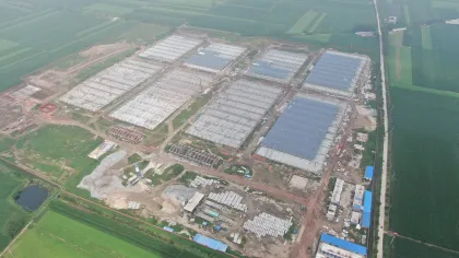 Modernized Pig Farming Project in Linquan County Fuyang