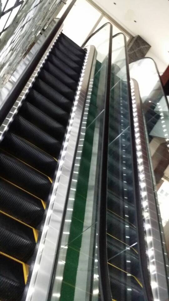 35 Degree 1000mm Step Width Outdoor Escalator (TEJ35-100)