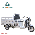 3 Wheel Electric Tricycle with Small Cargo Box