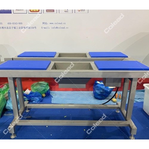 vegetable production line vegetable cutting washing line