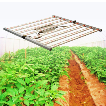 Horticulture Hydroponics 600W LED Grow Light: Veg and Bloom