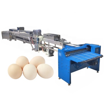 Automatic 5000Pcs/H Egg Washing Machine Line for Chicken Eggs