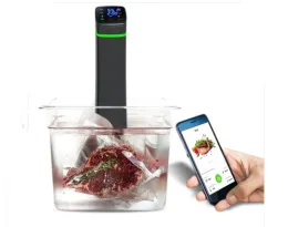 slow cooker machine wifi immersion circulator sous vide
