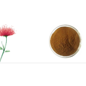 Plant extract Rosavins Salidroside Rhodiola Rosea Extract