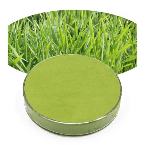 Supply Grass Fruit Extract Powder