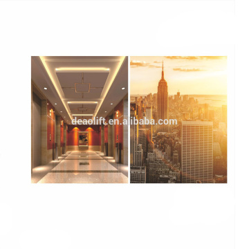 Restaurant Elevator Lift Passenger Lift Cabin