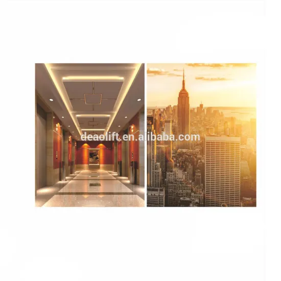 Restaurant Elevator Lift Passenger Lift Cabin