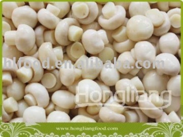 preserved whole champignon mushroom