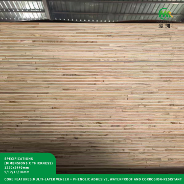 King Kong Marine Board para navegação de alto desempenho