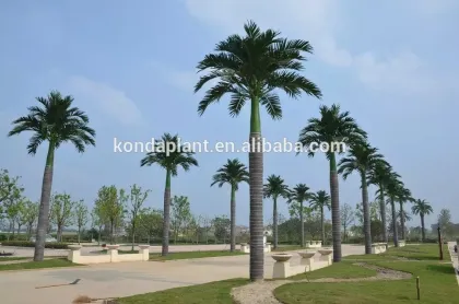 Artificial coconut trees fake coconut tree,artificial big tree fiber coconut tree