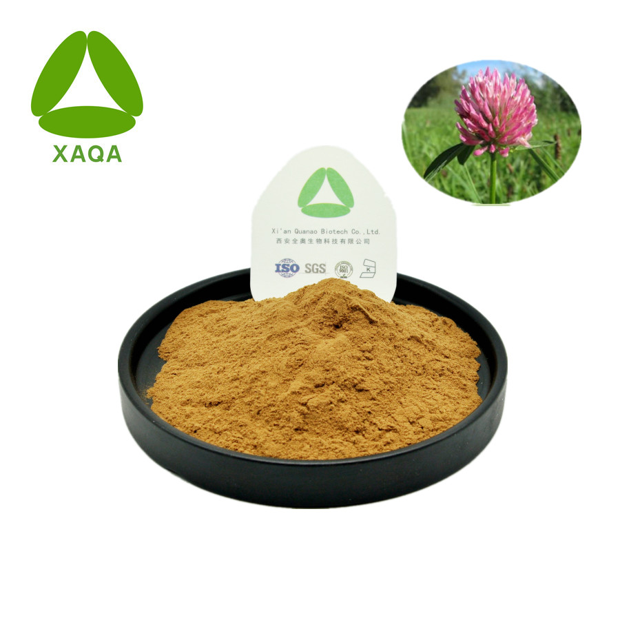 Trifolium Pratensel Pulver JPG Trifolium Pratensel Powder Jpg