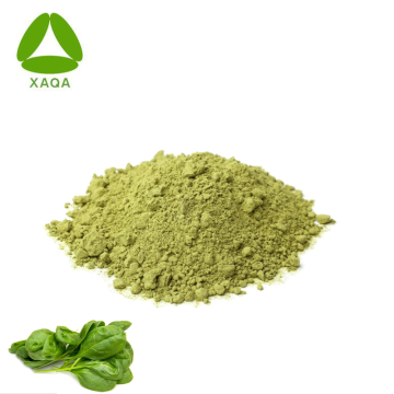 Nutrition Drinks Freeze Dried Spinach Leaf Powder 99%