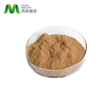 Organic Brown Hericium Erinaceus Extract Powder