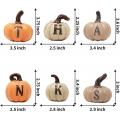 Thanksgiving 6 pcs Hand-Painted Pumpkins Fall House Decor