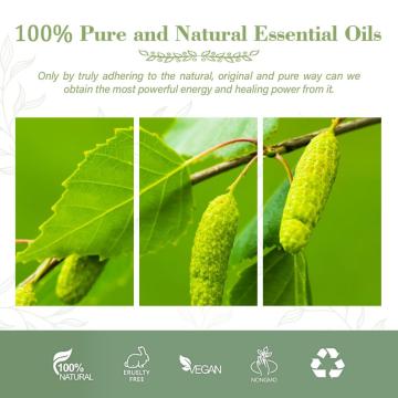 High Quality 100% Pure Birch Essential Oil Organic Birch Oil At Wholesale Price