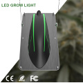 Planta de estufa de altas luzes de LED PPFD LED Plants