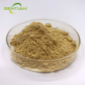 Organic Acanthopanax senticosus Supplement