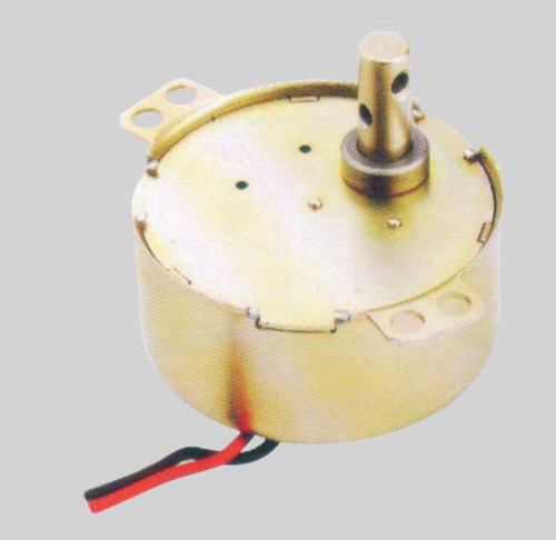 Synchronous Motor (49TDY -A)