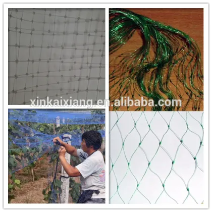 Anping plastic bird protection net,anti bird protection net