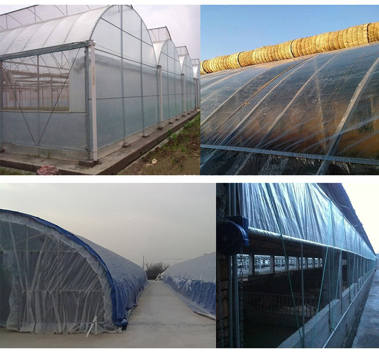 China-greenhouse-cover-clear-plastic-film-for