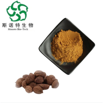 Organic Amomum Villosum Extract for Digestive Support and Balance