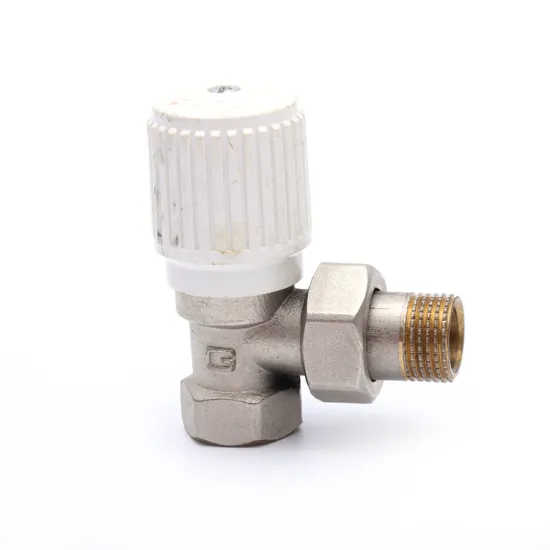 EUR Standard High Quality Customized 1/2 3/4 inch brass radiator valve