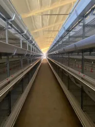 Broiler cage system(hot-dip galvanizing)