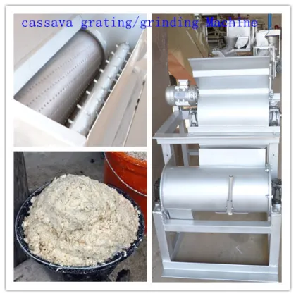Best price cassava flour processing machine in India