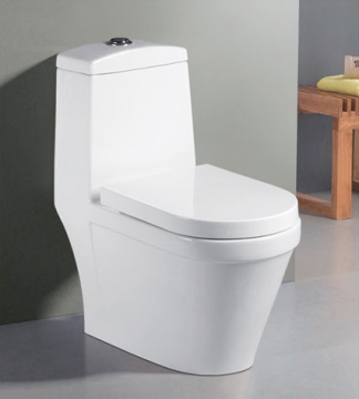 One Piece Toilet 2