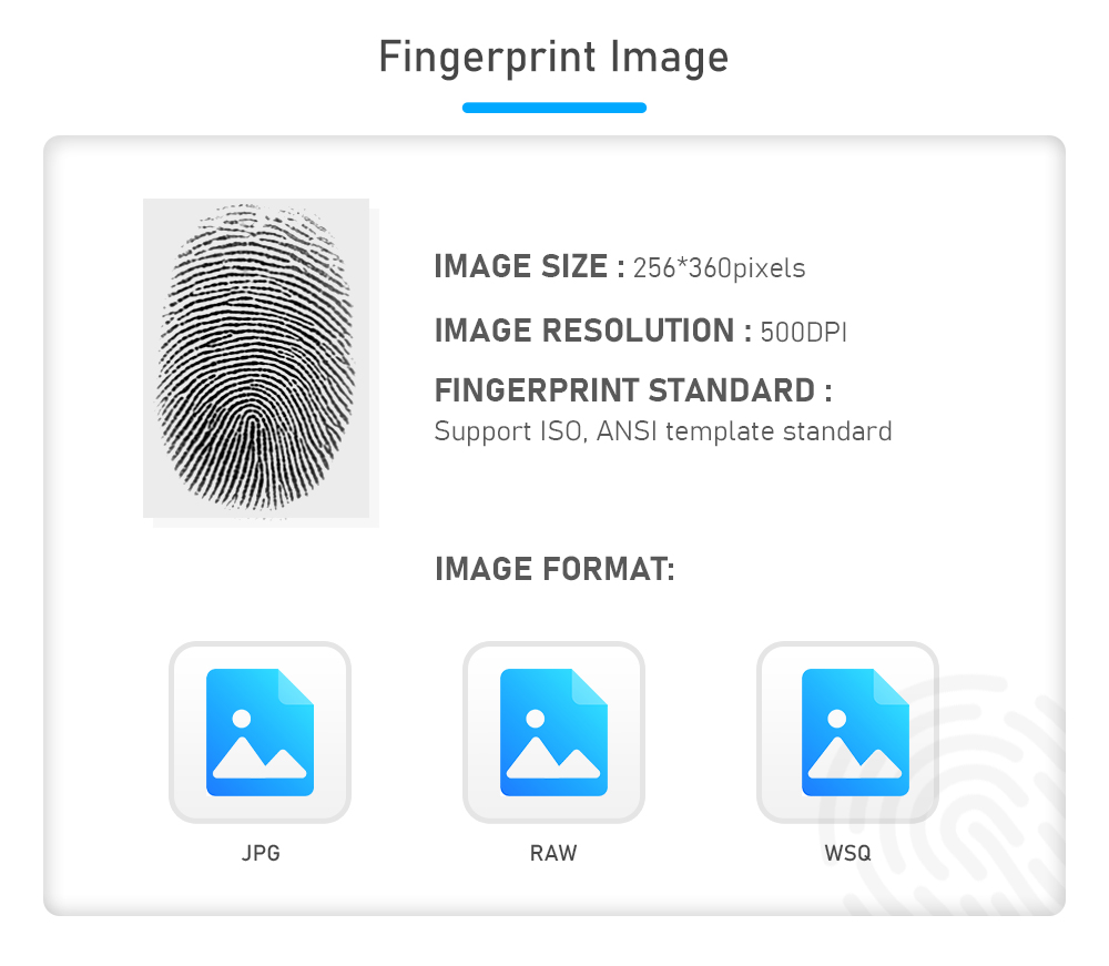 Mini Fingerprint Scanning Device