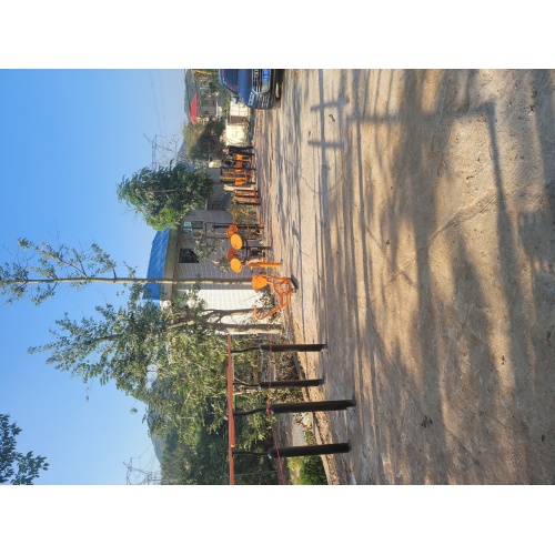 Double Parallel Bar Fitness Equipment