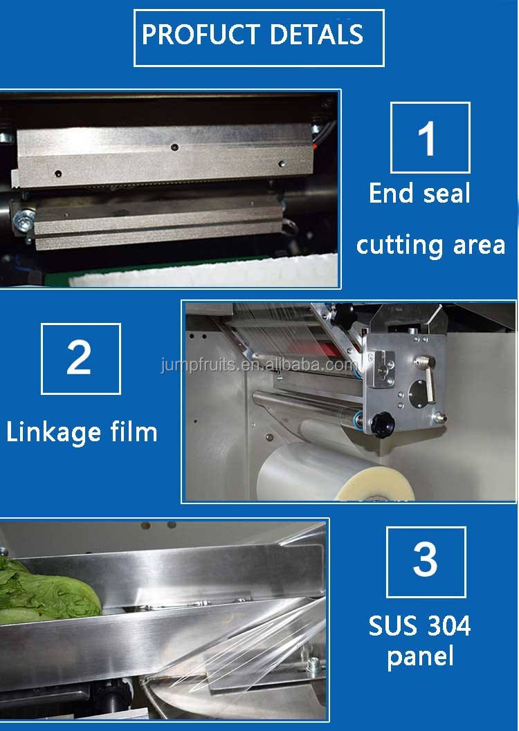 Details Of Vegetable Washing And Packaging Line