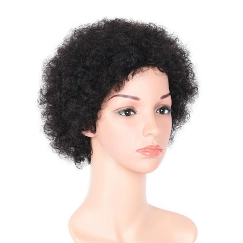 100% NATURAL VIRGIN REMY HUMAN HAIR  CURLY WIG