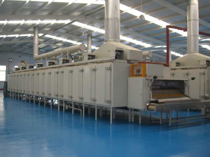 Belt Dryer Machine for Food Industry