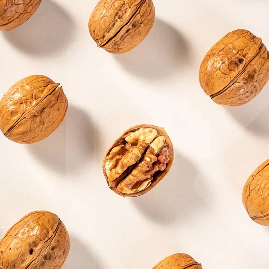 Kurutulmuş Fındık Sincan Yüksek Kaliteli 185/33 Ceviz Kabuklu