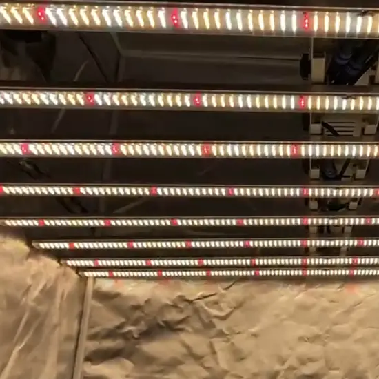 The Best Mini Led Plant Grow Lights 2021