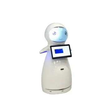 Intelligent Humanoid Multifunction Programmable Robot