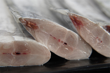 Delicious And Quality Frozen Hairtail