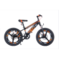 TW-38-1TW-37-1 High Quality Bicycle Student