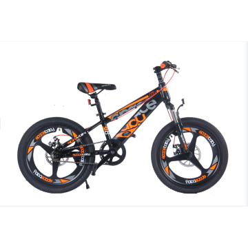 20 -Zoll -Jungen Student Bicycle Mountainbike
