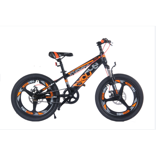 20 Inch Boys Student Bicycle Mountain Bike