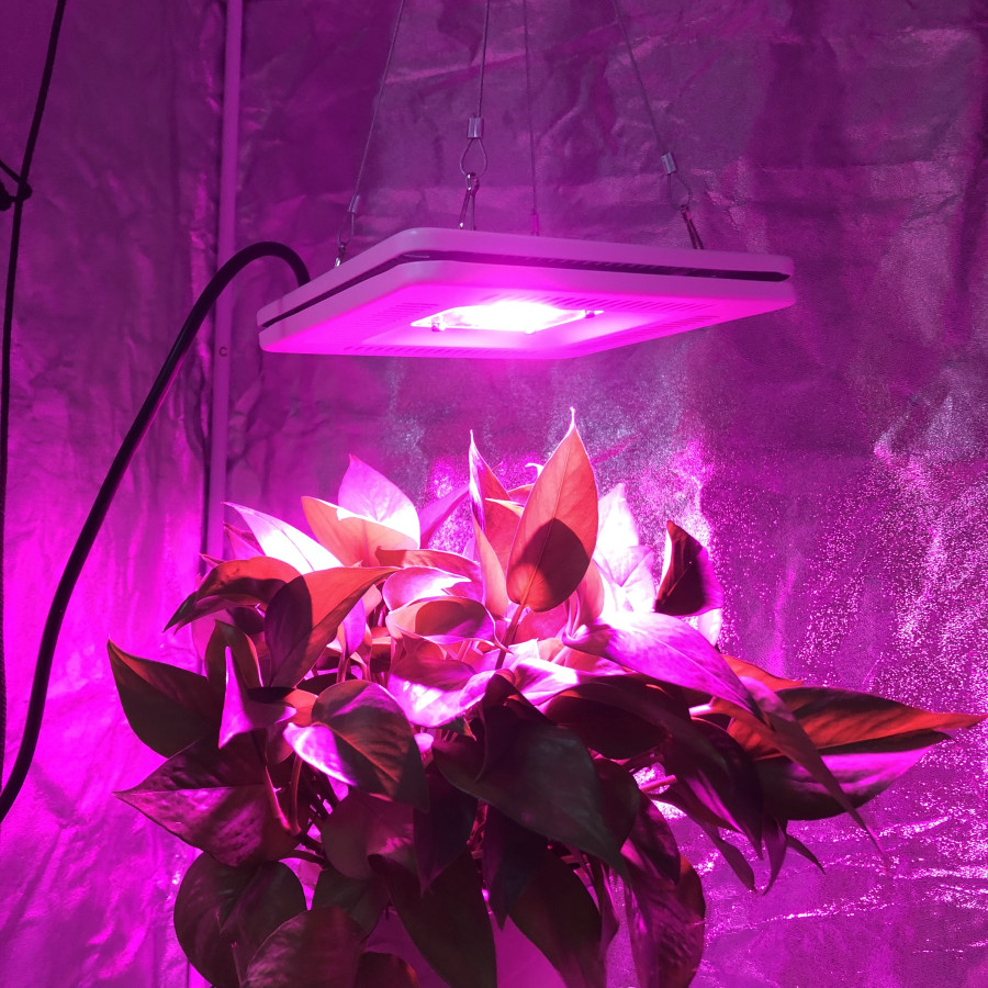 sunlight full spectrum LED plant light grow lamp