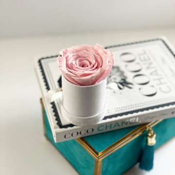 Every Love: Competitive Price Roses in Luxury Round Boxes for Proposals